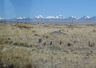 IMG 2417