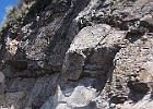 IMG 2425