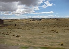 IMG 3618
