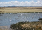 IMG 3624