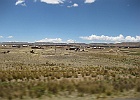 IMG 3631