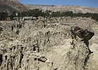 IMG 3653