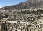 IMG 3655