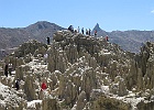 IMG 3660