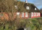 IMG 6921